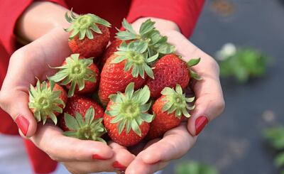 /pf/resources/images/abc-placeholder.png?d=2395