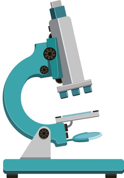 Importancia de la enseñanza experimental