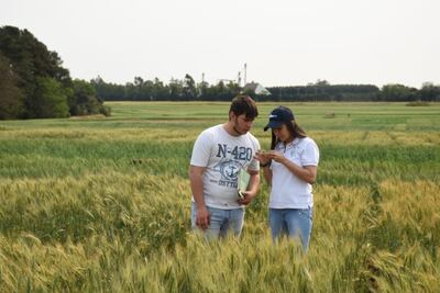 El desarrollo sostenible del campo es una de las grandes responsabilidades de los ingenieros agrónomos.