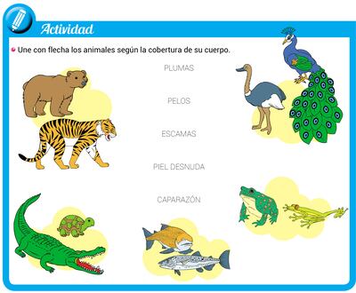 Animales según su cobertura corporal