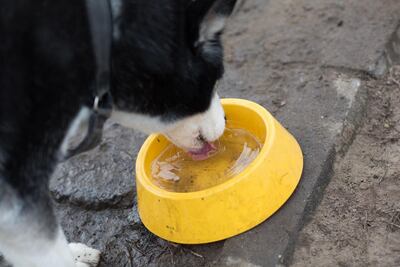 /pf/resources/images/abc-placeholder.png?d=2421