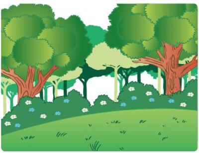 Imagen sin descripción