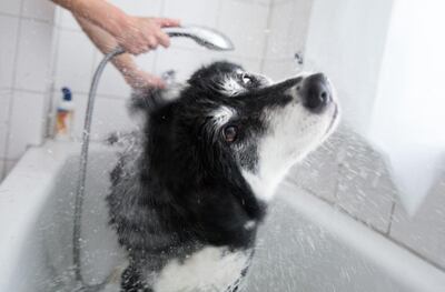 /pf/resources/images/abc-placeholder.png?d=2402