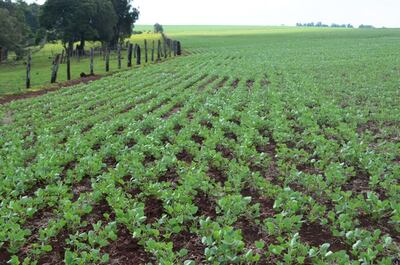 Es importante difundir buenas prácticas productivas y sostenibles.