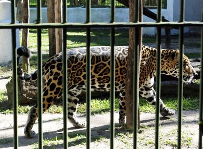 /pf/resources/images/abc-placeholder.png?d=2402