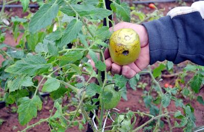 /pf/resources/images/abc-placeholder.png?d=2394