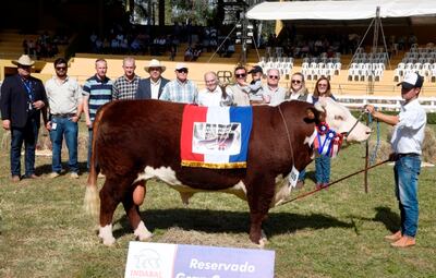 Hereford, reservado de Gran Campeón.
