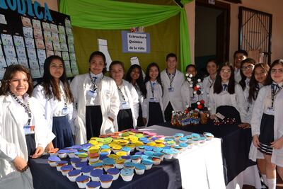 La feria pedagógica se realizó en la galería del Colegio Dr. Víctor Vasconsellos.