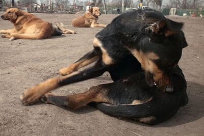 Imagen sin descripción