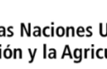 comercio-internacional-de-alimentos-80835000000-1756594.png