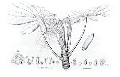 /pf/resources/images/abc-placeholder.png?d=2394