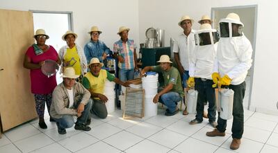Apicultores Ishir expresaron su preocupación porque fueron afectados por los incendios registrados en los últimos meses en el Chaco.