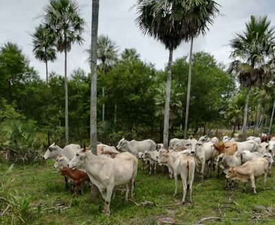 /pf/resources/images/abc-placeholder.png?d=2395