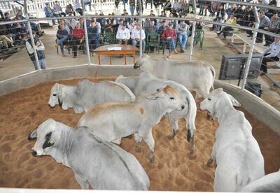 /pf/resources/images/abc-placeholder.png?d=2394