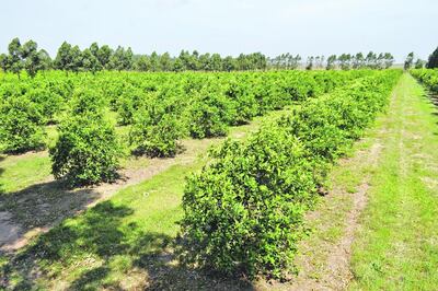 /pf/resources/images/abc-placeholder.png?d=2394