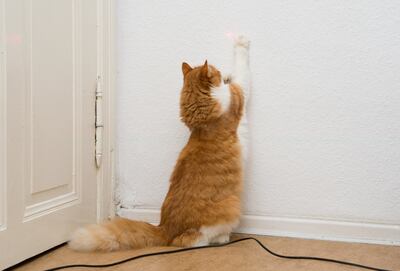 El punto rojo es muy atrapante como juego, pero también puede generar frustración.