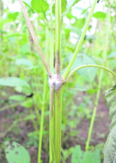 /pf/resources/images/abc-placeholder.png?d=2421