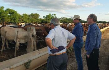 el-embajador-mauricio-ugalde-primero-de-iz-visitando-un-establecimiento-ganadero--84338000000-1778393.jpg