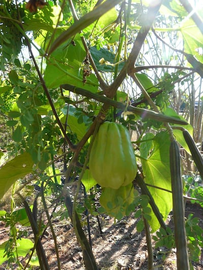 /pf/resources/images/abc-placeholder.png?d=2396