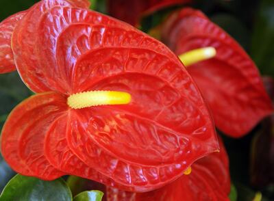 Imagen sin descripción