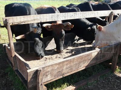 /pf/resources/images/abc-placeholder.png?d=2423