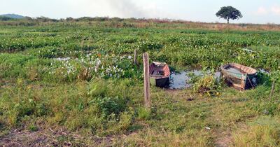 El riacho Barrero, uno de los principales afluentes del río Paraguay en la cuenca del     Pantanal, se está secando en varios sectores  y ya no hay forma de navegar ni en pequeñas embarcaciones.