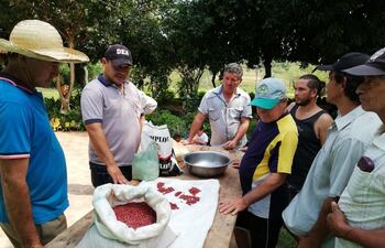 productores-se-capacitan-en-produccion-de-poroto-91312000000-1804649.jpg