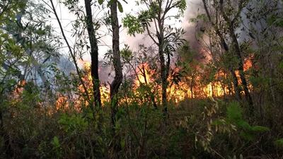 /pf/resources/images/abc-placeholder.png?d=2430