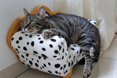 /pf/resources/images/abc-placeholder.png?d=2395