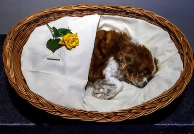 /pf/resources/images/abc-placeholder.png?d=2395