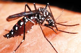 dengue-y-cambio-climatico-195633000000-1090272.jpg