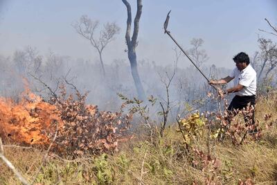 Evo Morales ayuda a luchar contra el fuego cerca de Charagua, Bolivia, en la frontera con Paraguay. La foto es del 29 de agosto.