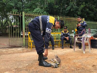 La perrita que mordió a Kelembú se llenó de atenciones.