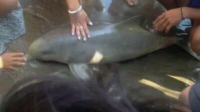 /pf/resources/images/abc-placeholder.png?d=2428