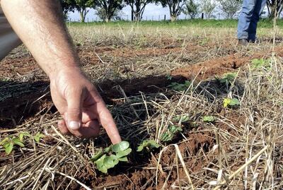 Imagen sin descripción