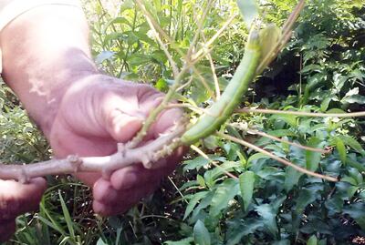 Imagen sin descripción