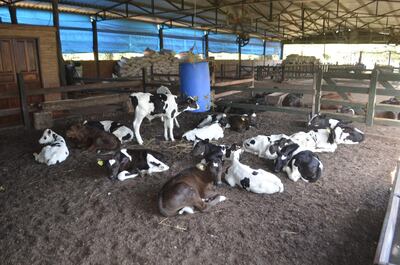 /pf/resources/images/abc-placeholder.png?d=2395