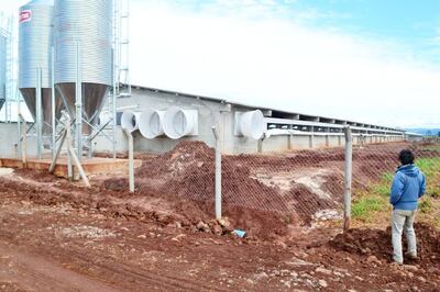 Imagen sin descripción