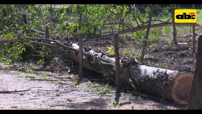 /pf/resources/images/abc-placeholder.png?d=2397