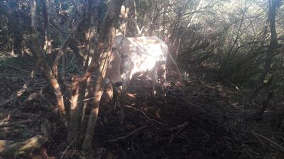 /pf/resources/images/abc-placeholder.png?d=2420