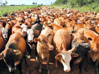 /pf/resources/images/abc-placeholder.png?d=2395