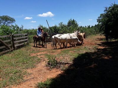 /pf/resources/images/abc-placeholder.png?d=2395