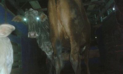 /pf/resources/images/abc-placeholder.png?d=2398