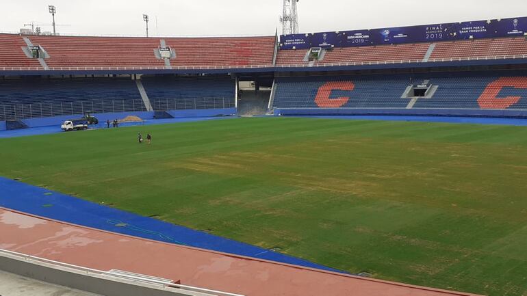 La Nueva Olla, césped, Copa Sudamericana.