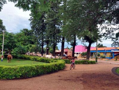 /pf/resources/images/abc-placeholder.png?d=2393