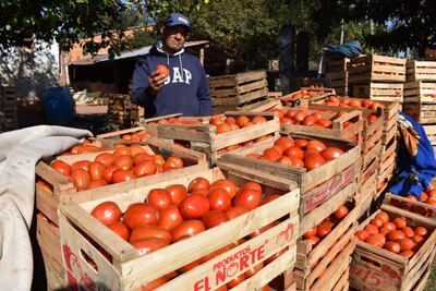 Tomates de producción nacional serán ofrecidos durante 10 horas a G. 3.000 el kilo en varios puntos.