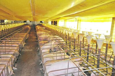 /pf/resources/images/abc-placeholder.png?d=2395