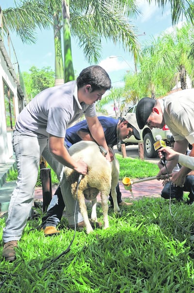 Imagen sin descripción
