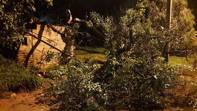 /pf/resources/images/abc-placeholder.png?d=2395