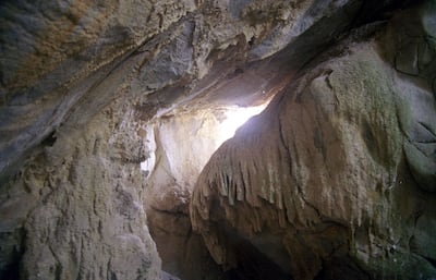 Imagen sin descripción